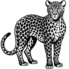 Majestic wild leopard vector illustration depicts a spotted feline predator