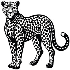 Majestic wild leopard vector illustration depicts a spotted feline predator