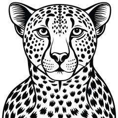 Majestic wild leopard vector illustration depicts a spotted feline predator