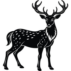 Wild deer silhouette vector illustration mammal