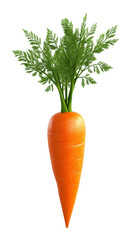 Bright orange carrot with lush green leaves on transparent background