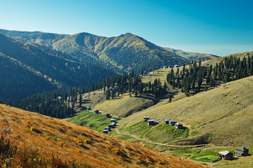 Scenic highland village in Gomis Mta, Georgia, with rustic wooden houses and autumn hues.