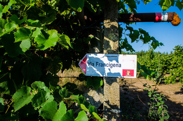 Una freccia di legno che indica la direzione della Via Francigena appesa a un palo di legno