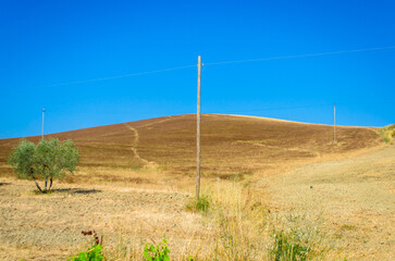Un palo di legno che sostiene un filo elettrico, isolato in un paesaggio collinare nella Val d’Orcia con un campo di frumento dopo la mietitura