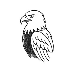 Bald Eagle Illustration, Eagle Illustration, Wild Bird, Bald Eagle Background, Bird Drawing, Eagle Drawing, Wild Life Eagle, Animal Illustration, Zoo Animal