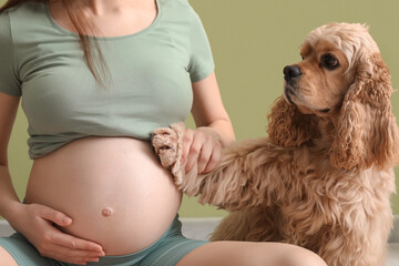 Beautiful young sporty pregnant woman with cocker spaniel practicing yoga near green wall, closeup