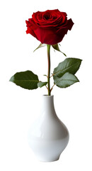 Fototapeta premium Single red rose in a white vase with green leaves on transparent background