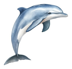 Obraz premium Watercolor illustration of a blue dolphin jumping in mid-air on a transparent background, marine life concept