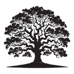 Fototapeta premium Oak Tree Vector Silhouette, Majestic Tree Outline, Nature-Inspired Clipart for Wall Art, Logos, Stickers, Apparel, Digital Prints, Crafts, Posters, and Home Decor.