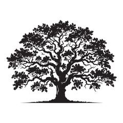 Oak Tree Vector Silhouette, Majestic Tree Outline, Nature-Inspired Clipart for Wall Art, Logos, Stickers, Apparel, Digital Prints, Crafts, Posters, and Home Decor.
