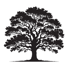Fototapeta premium Oak Tree Vector Silhouette, Majestic Tree Outline, Nature-Inspired Clipart for Wall Art, Logos, Stickers, Apparel, Digital Prints, Crafts, Posters, and Home Decor.