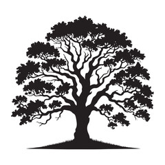 Fototapeta premium Oak Tree Vector Silhouette, Majestic Tree Outline, Nature-Inspired Clipart for Wall Art, Logos, Stickers, Apparel, Digital Prints, Crafts, Posters, and Home Decor.