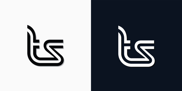 Modern Abstract Initial letter TS logo.