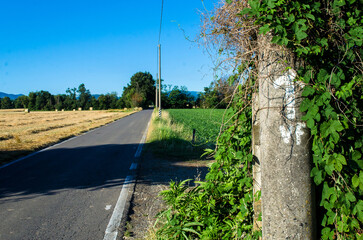 Le indicazioni della Via Francigena dipinte su un palo di cemento ai bordi di una strada