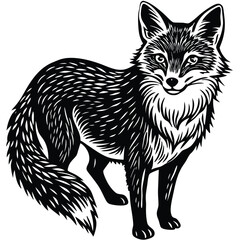 Obraz premium Cute vector illustration of a wild fox and cat sketch, mammal art