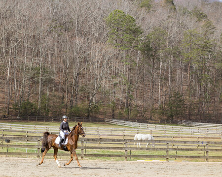 A woman riding a Saddlebred horse at a trot in English attire with a hill in the background in the early spring.