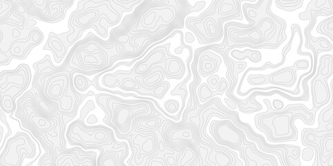 modern topography contour geometric out line soft white and grey map line background.