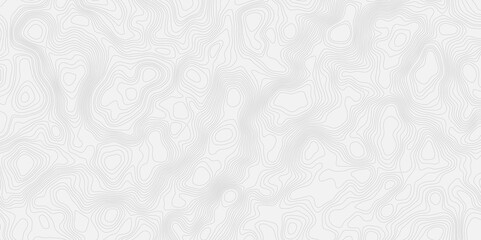 modern topography contour geometric out line soft white and grey map line background.