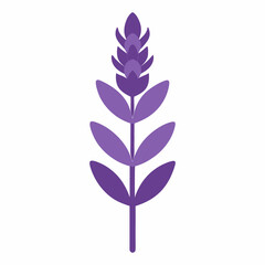 green leaf isolated on white