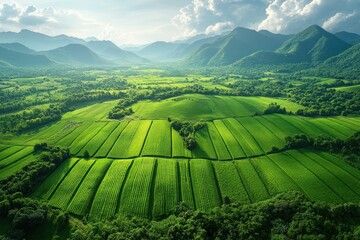 Smart Farming Technology Data Analysis Growth Innovation AI Robotics Virtual Reality Agriculture