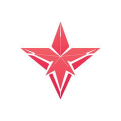 Creative Star Logo Design Illustration Template