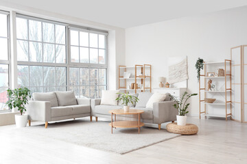 Interior of light living room with grey sofas, shelf units and window