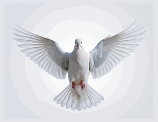 Fototapeta premium White Dove Flying with Wings Spread Front View Illustration