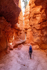 Woman hikes Navajo loop trail in Bryce Canyon National Park, Utah. Bryce Canyon is a collection of...