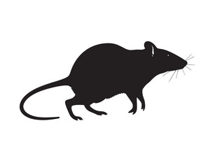 Silhouette of Rat, Black Mouse Vector Clipart Isolated on White