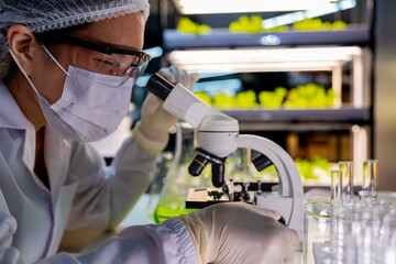 A researcher in a sterile lab conducts a scientific experiment using a microscope and test tubes....