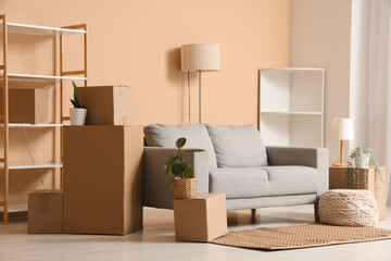 Interior of living room with grey sofa, shelving units, houseplants and many parcels near beige wall