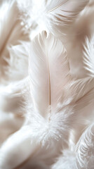 Aesthetic soft feathers in a natural pastel and neutral color background, symbolizing fragility, purity, and beauty. Delicate elements from nature with a smooth texture and modern design.

