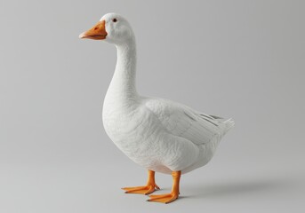 Obraz premium A goose standing on the floor i