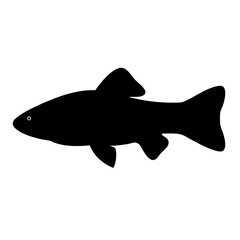 clown loach fish black silhouette of a moorish idol fish aquatic animal ocean life- simple black silhouette of a clown loach fish tropical sea life animal icon,