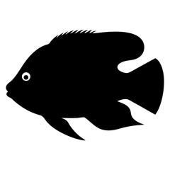 dwarf cichlid fish black silhouette of a moorish idol fish aquatic animal ocean life- simple black silhouette of a dwarf cichlid fish tropical sea life animal icon,