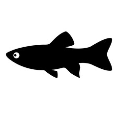 endler s livebearer fish black silhouette of a moorish idol fish aquatic animal ocean life- simple black silhouette of a endler s livebearer fish tropical sea life animal icon,