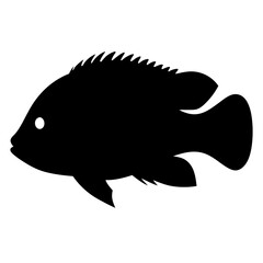 firemouth cichlid fish black silhouette of a moorish idol fish aquatic animal ocean life- simple black silhouette of a firemouth cichlid fish tropical sea life animal icon,