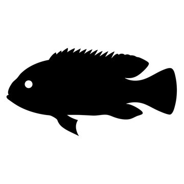 recommend clip art: dwarf cichlid fish black silhouette of a moorish idol fish aquatic animal ocean life- simple black silhouette of a dwarf cichlid fish tropical sea life animal icon,