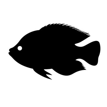 recommend clip art: gourami fish black silhouette of a moorish idol fish aquatic animal ocean life- simple black silhouette of a gourami fish tropical sea life animal icon,