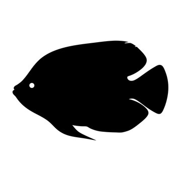 recommend clip art: gourami fish black silhouette of a moorish idol fish aquatic animal ocean life- simple black silhouette of a gourami fish tropical sea life animal icon,