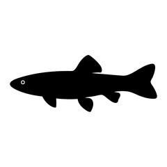 kuhli loach fish black silhouette of a moorish idol fish aquatic animal ocean life- simple black silhouette of a kuhli loach fish tropical sea life animal icon,