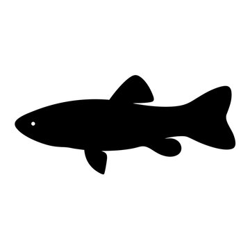 recommend clip art: kuhli loach fish black silhouette of a moorish idol fish aquatic animal ocean life- simple black silhouette of a kuhli loach fish tropical sea life animal icon,
