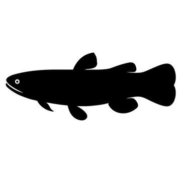 recommend clip art: kuhli loach fish black silhouette of a moorish idol fish aquatic animal ocean life- simple black silhouette of a kuhli loach fish tropical sea life animal icon,