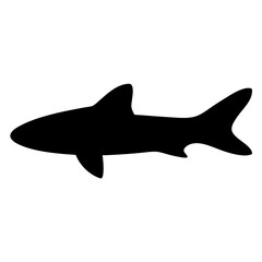 Obraz premium otocinclus fish black silhouette of a moorish idol fish aquatic animal ocean life- simple black silhouette of a otocinclus fish tropical sea life animal icon,
