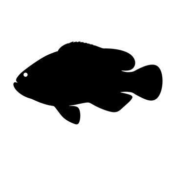 recommend clip art: oscar fish black silhouette of a moorish idol fish aquatic animal ocean life- simple black silhouette of a oscar fish tropical sea life animal icon,