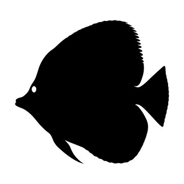 recommend clip art: plecostomus fish black silhouette of a moorish idol fish aquatic animal ocean life- simple black silhouette of a plecostomus fish tropical sea life animal icon,