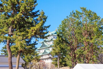 名古屋城の桜、春の訪れを告げる