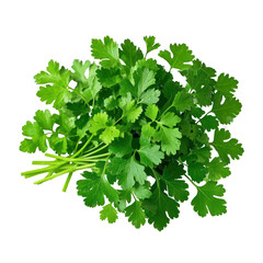Coriander Leaves Isolated On Transparent Background, Generative AI