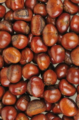 Fresh chestnuts