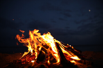 Beautiful bonfire with burning firewood on beach at night